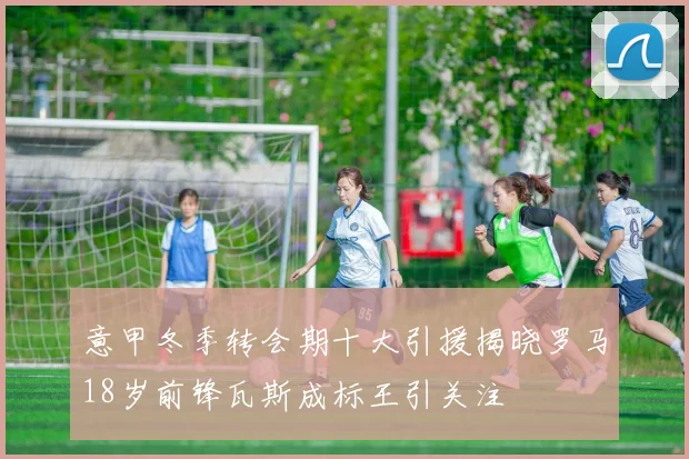 意甲冬季转会期十大引援揭晓罗马18岁前锋瓦斯成标王引关注