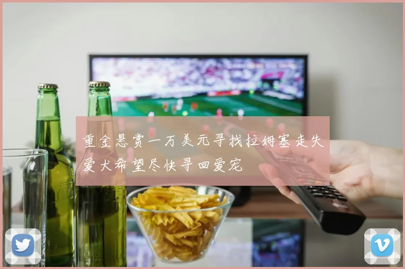 重金悬赏一万美元寻找拉姆塞走失爱犬希望尽快寻回爱宠