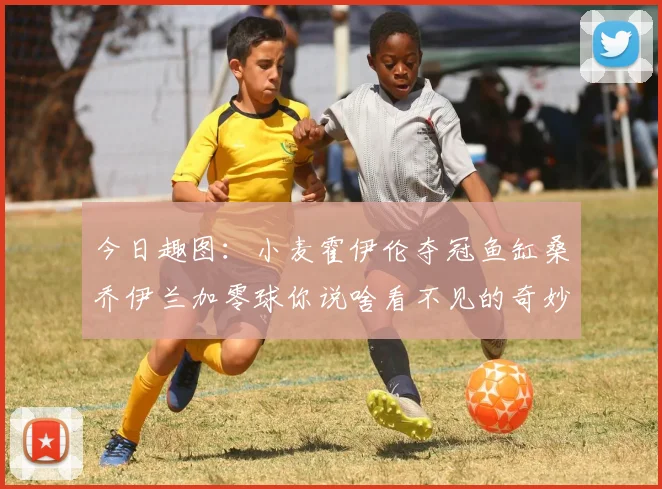 今日趣图：小麦霍伊伦夺冠鱼缸桑乔伊兰加零球你说啥看不见的奇妙瞬间