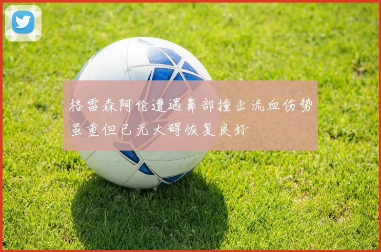 格雷森阿伦遭遇鼻部撞击流血伤势虽重但已无大碍恢复良好