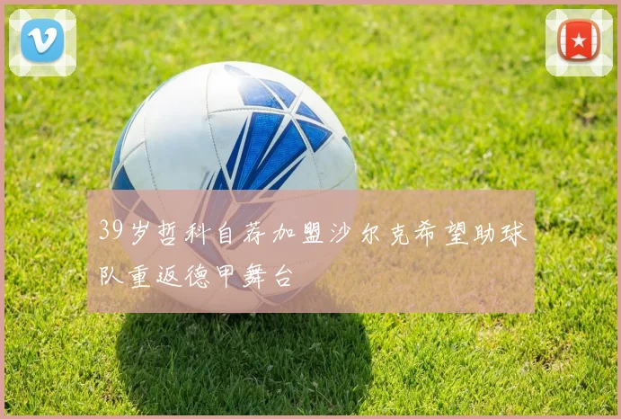 39岁哲科自荐加盟沙尔克希望助球队重返德甲舞台