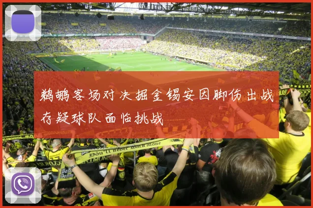 鹈鹕客场对决掘金锡安因脚伤出战存疑球队面临挑战