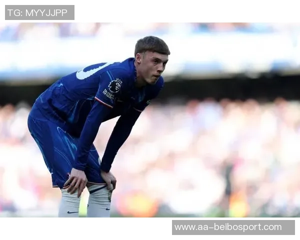 帕尔默因腹股沟伤势缺阵至11月将缺席至少四场重要比赛